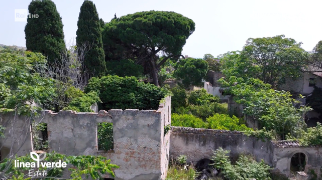 On the way to the two seas: on the Copanello beach, in the Gulf of Squillace, to relive the myth of Ulysses and Nausica. A place of extraordinary landscape charm and important monumental value: in Borgia, immersed in a centuries-old olive grove that forms the green lung of the province of Catanzaro.