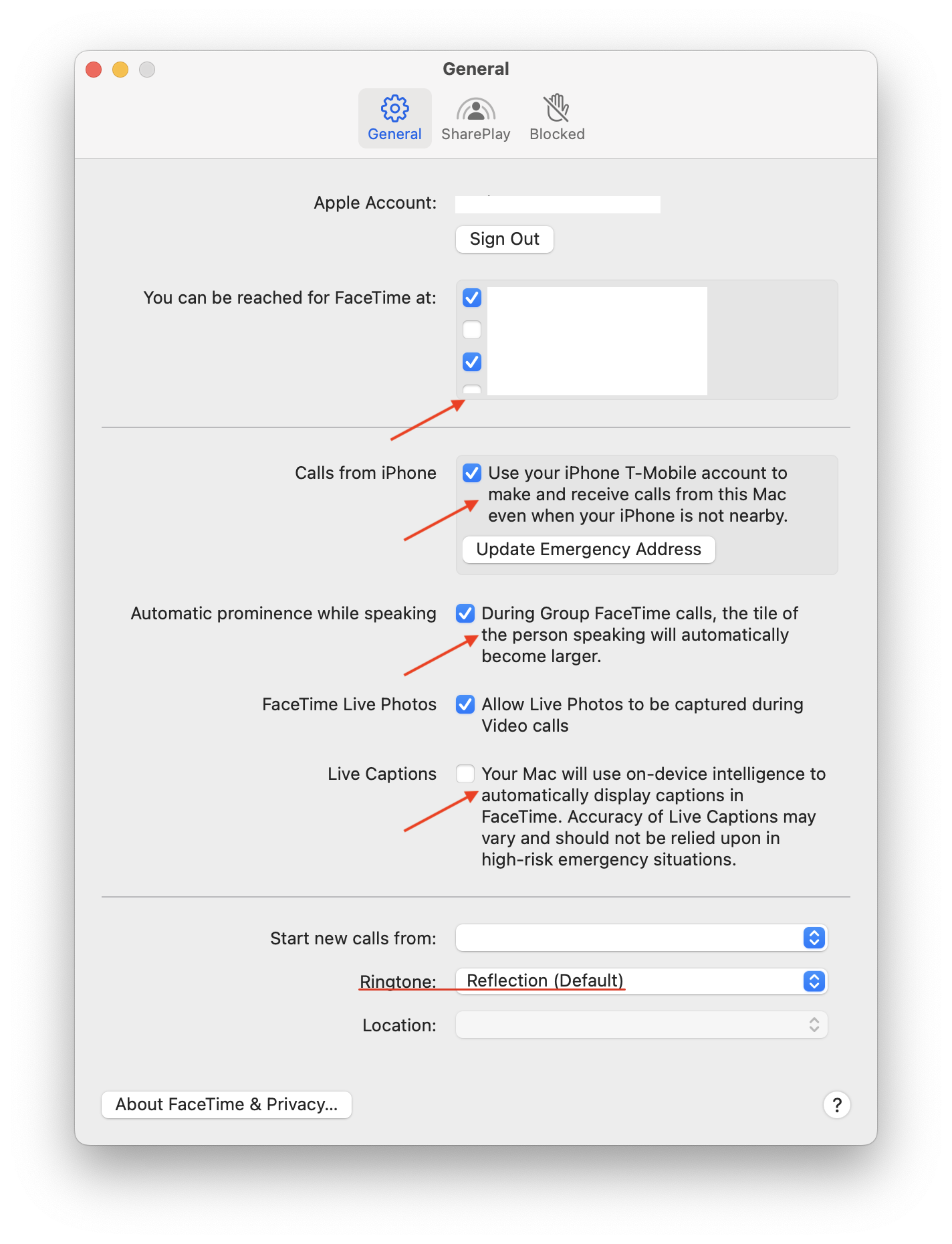 Mario Guzm n The New Settings Window For FaceTime In MacOS Seq mario-guzm-n-the-new-settings-window-for-facetime-in-macos-seq