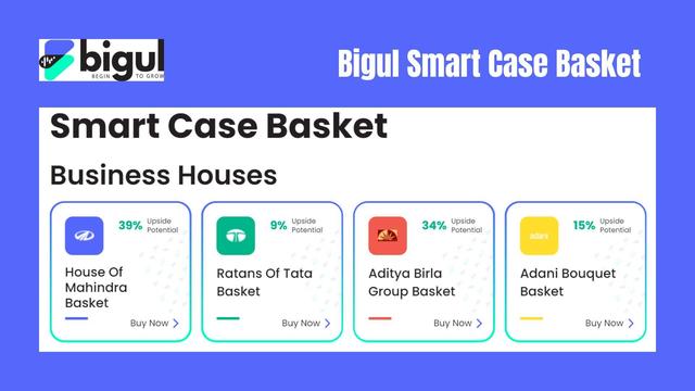 Bigul Smart Case Basket