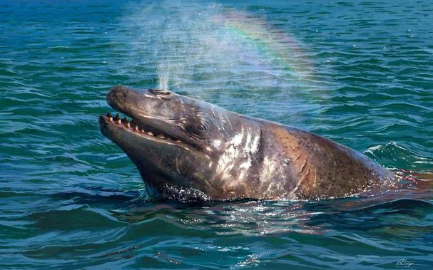 Ballena prehistórica asomando su cabeza por encima del agua. Espira y se forma un arco iris.