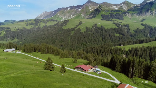 The Bernese Oberland is a region of superlatives and attracts people from all over the world. It breaks down into two completely different halves, the Prealps and the High Alps, both geologically and landscape. The documentary Das Berner OBERLAND - A SUMMER in DEN VORALPEN discovers the Bernese Prealps and their colorful cultural landscapes with a diverse flora and fauna. Here the heart of Switzerland beats slowly but vigorously.

The residents try to combine biodiversity, traditional alpine farming and nature conservation and find very different ways to deal with it. In addition, tourism tests the balance of nature. The film shows the region of the Prealps in large landscape shots and looks at the mentality of the Bernese Oberlanders with a wink.