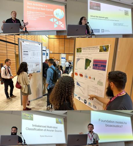 Busy research conference venue, posterboards with people clustering around explaining things to each other. You can also see some title slides from talks