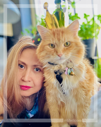 Celebrating my cat’s 10th birthday 🥳 