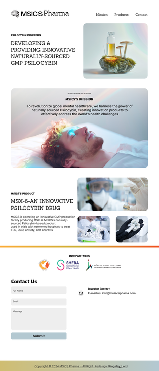 WEBSITE LANDING PAGE