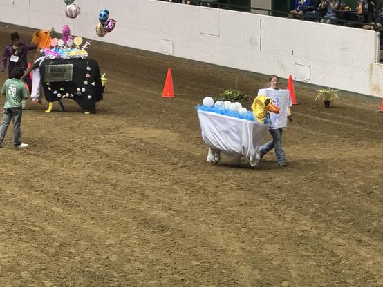 An alpaca dressed up as a bubble bath and rubber ducky leaves the stage. The handler is dressed as soap.