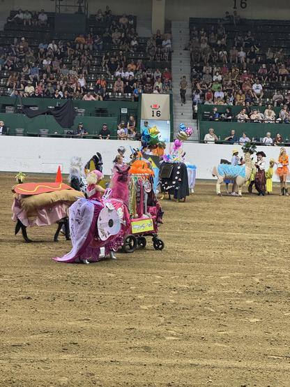 A view of all the animals in costumes 