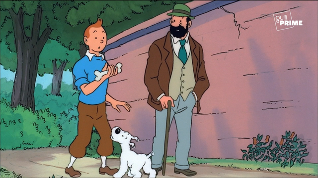 Les aventures de Tintin, 2024-08-29, 21-08-46, Gulli