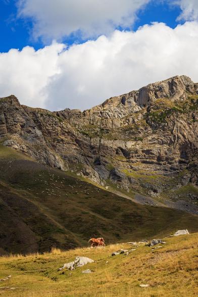 Fotografía tomada en el paso de España a Francia por Formigal (Huesca) donde se ven unos caballos en la zona inferior de la foto y detrás de ellos montañas y parte de cielo azul con nubes.