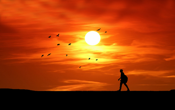 Silhouette Man Walking Sunset