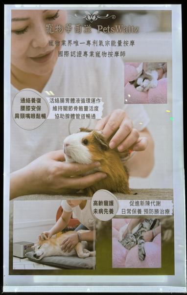 Pet massage poster