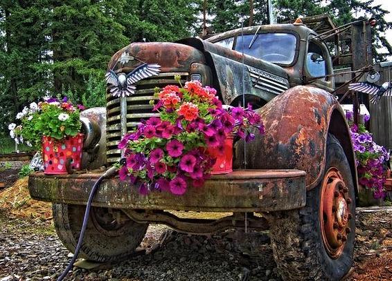 Bad To The Bone! https://1-thom-zehrfeld.pixels.com/featured/bad-to-the-bone-thom-zehrfeld.html #oldtruck #truck #x #trucks #classictrucks #classictruck #oldtrucks #f #vintagetruck  #BuyIntoArt #Art #ThomZehrfeldPhotography #PhotographyIsArt #Photography #Fotografie
#ArtForSale #ArtMatters #MastoArt #Mastodon #ArtforInteriorDesign #HospitalityInteriors 
#InteriorDesign #Wallart #InteriorDecorating #WallArtForSale #PhotoOfTheDay #FediGiftShop  #GiftIdeas #FediArt #Prints #FediArtShop #Colorful