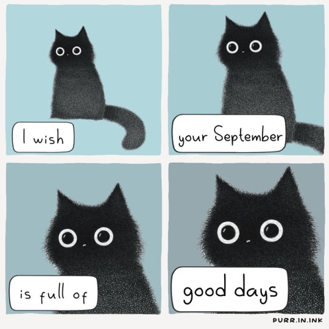 4 panel comic showing a pale blueish background and a black cat with very wide eyes. Each panel we get closer to the cat but otherwise it doesn’t change. The text reads I wish your September is full of good days. The artist is Purr in ink. 
