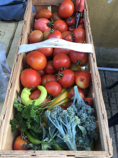 Ein Spankorb mit Tomaten, Brokkoli, und Chilis