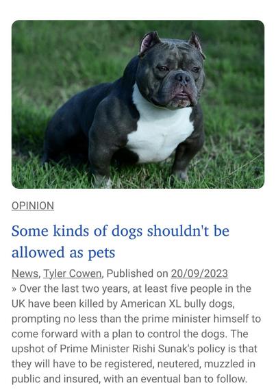 Screenshot of Bangkok Post opinion article titled, "Some kinds of dogs shouldn't be allowed as pets", with a photograph of a white-chested black American bully dog.