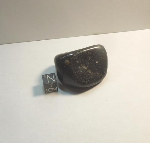 A tumbled meteorite. It has a glossy, smooth, black appearance with contrasting small pale chondrules.