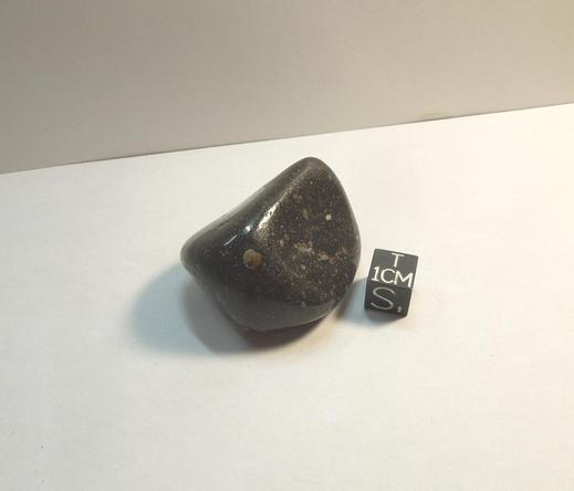 A tumbled meteorite. It has a glossy, smooth, black appearance with contrasting small pale chondrules.