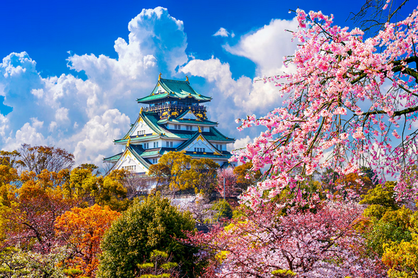 Castle and cherry blossom landscape in Japan