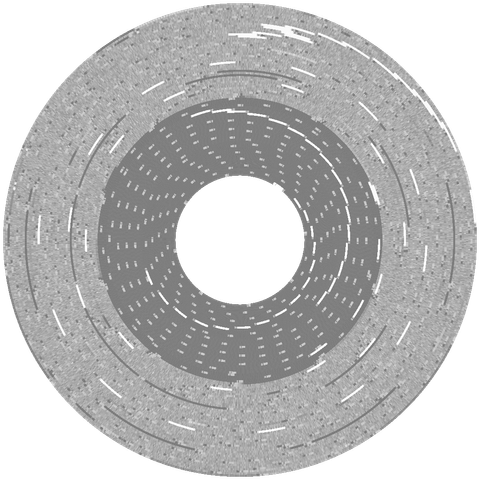 flux visualization of "Photonix II" disk
