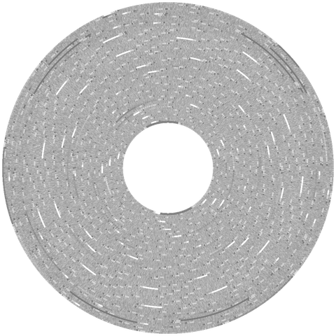 flux visualization of "Skate or Die" disk