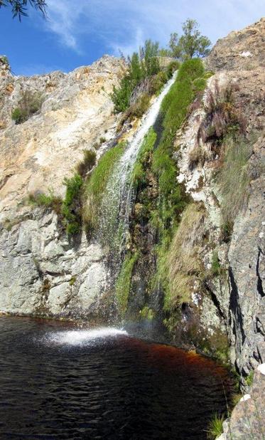A photo of a waterfall falling into pool
Green vegetation flanks the waterfall. The water is a reddish brown caused by the fynbos vegetation the water moves through