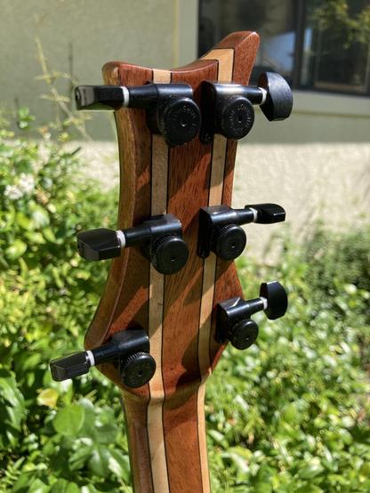 A guitar headstock front face, with foliage behind it.