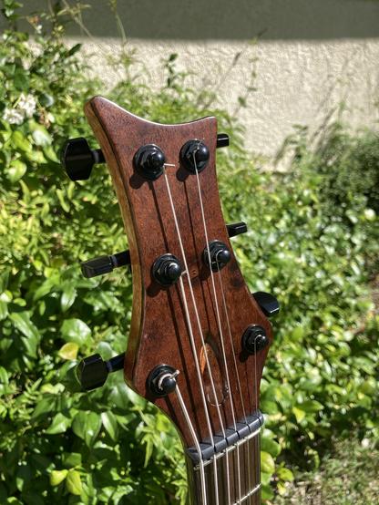 A guitar headstock back face, with foliage behind it.