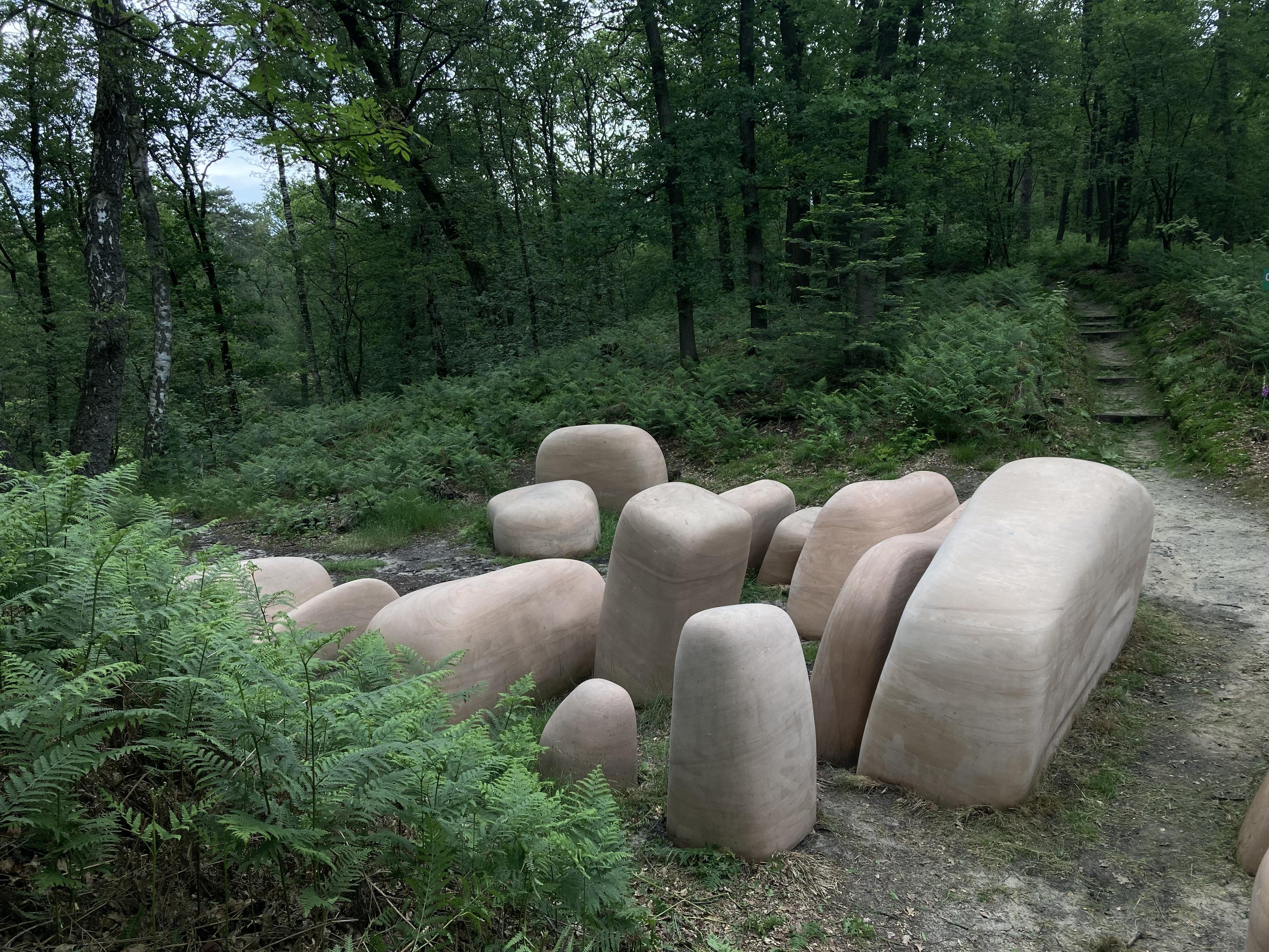 Rocky Lumps 2 - Tom Claassen
A collection of smooth large pinkish rocks in a forest. They should look a little like a lying figure. 