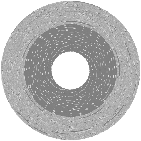 flux visualization of "Peanuts Maze Marathon" disk