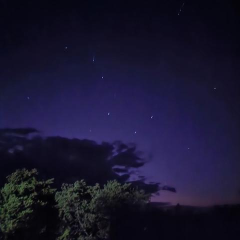 Lightly lit trees against a dark blue-purple night sky with a perfect view of the Big Dipper constellation.