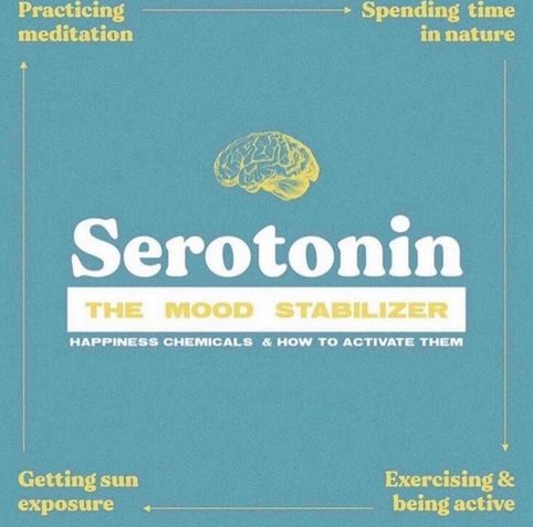 Seratonin