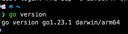 It's a terminal screenshot showing the Golang version installed 
