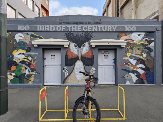 Photo by me: The Bird of the Century mural, by Kiran Parbhu Photography. They wrote: "I've had a great time working on this mural down on Ghuznee Street. It's a monument to the Forest & Bird 'Bird of the Century' competition, with all the birds and a cheeky Last Week Tonight with John Oliver cameo. A big mihi to Wellington Electricity for making this happen." 

The mural is the entire front of an electrical substation in downtown Wellington. The the center is a giant flamboyant pūteketek with John Oliver peeping over its shoulder. On the right and left are profiles of all the other birds glaring at Oliver and the pūteketek.