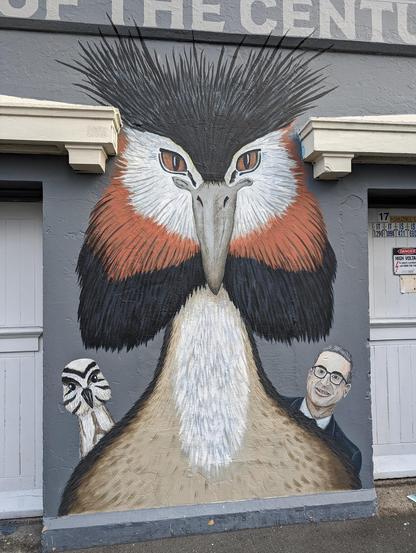 Photo by me: The Bird of the Century mural, by Kiran Parbhu Photography. They wrote: "I've had a great time working on this mural down on Ghuznee Street. It's a monument to the Forest & Bird 'Bird of the Century' competition, with all the birds and a cheeky Last Week Tonight with John Oliver cameo. A big mihi to Wellington Electricity for making this happen." 

Photo is a close-up. The mural is the entire front of an electrical substation in downtown Wellington. The the center is a giant flamboyant pūteketek with John Oliver peeping over its shoulder. On the right and left are profiles of all the other birds glaring at Oliver and the pūteketek.