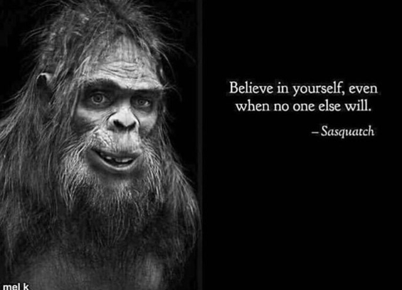 Sasquatch 