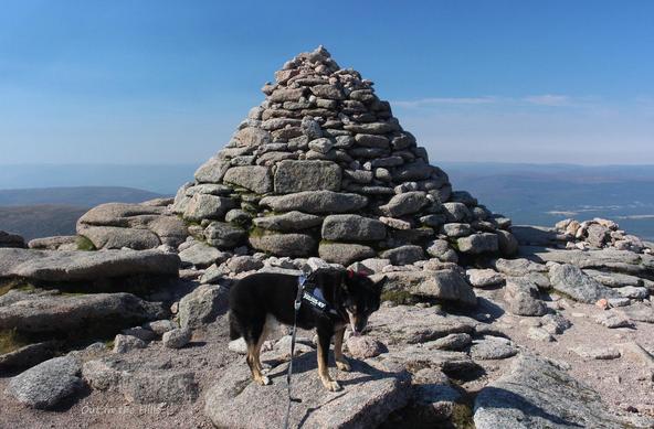 Moray the dog stood next to a well built summit cairn. The ground is rocky. Blue sky and haze in the distance.