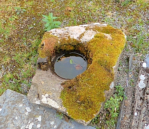 Roca con una concavidad redonda excavada. Esta contiene agua y hojas.