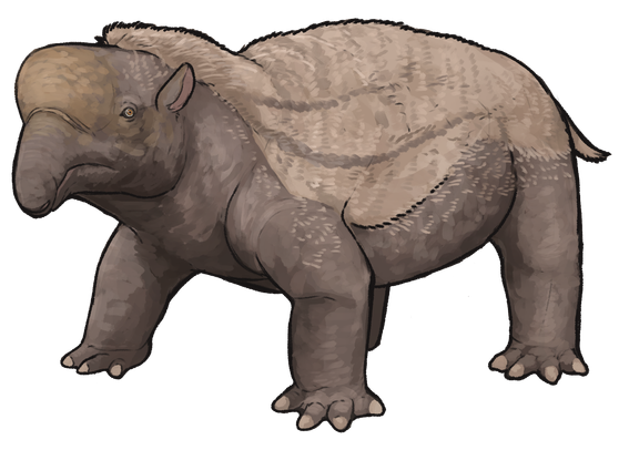 Mamífero con cuerpo grueso, protuberancia en la cabeza, trompa y orejas pequeñas. Sus piernas se doblan a los lados de su cuerpo.