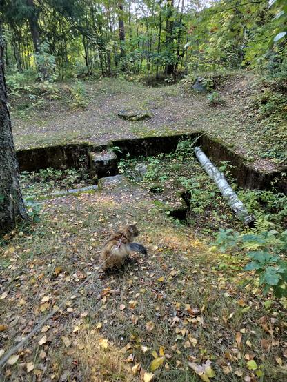 Another photo of the same area 