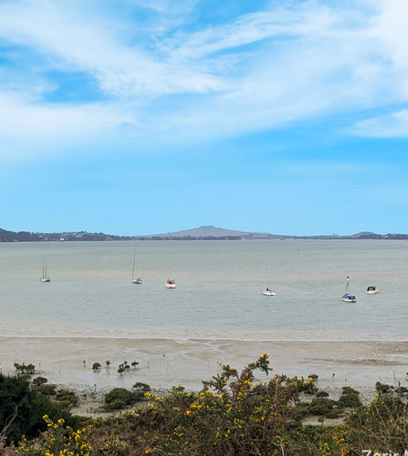 Boats at anchor