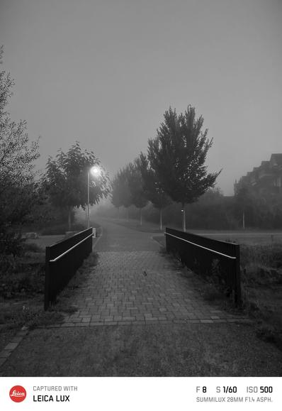 Schwarz weiß Bild einer kleinen Fußgängerbrücke hinter der ein Weg verläuft, der mit kleinen Bäumen gesäumt ist