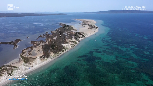 Each episode will start from two Italian ports. Here the hosts, Fabio Gallo and Giulia Capocchi, will meet the locals, telling their stories, the oldest and most evocative corners, searching for local curiosities and traditions. They will come into contact with the local fishermen and with them they will embark on a fishing trip typical of that stretch of coast, they will experience a direct relationship with the sea. They will learn to recognize the species, the fishing techniques, the seasonality of the products and will discover the beauties of the Mare Nostrum even outside the tourist routes. They will collect the stories of fishermen but also those of women involved in fishing on land and in fish markets. They will learn about projects of sustainability and care for the marine environment such as those of waste collection from the sea or reuse of fishing nets. At the end of the episode, the audience will be able to learn about a typical local dish made with the catch of the day, communicating how freshness, traceability and knowledge of the species are essential to have a healthy and quality product on the table.