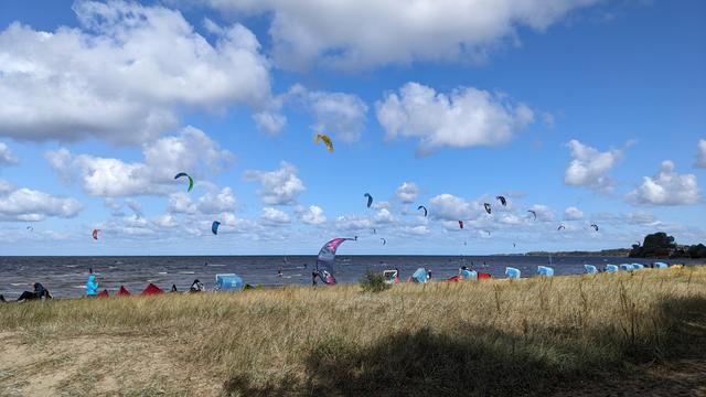 Blick von den Dünen Richtung Ostsee. Viele Kitesurfer sind zu sehen. Der Himmel ist blau mit weißen Wolken. 