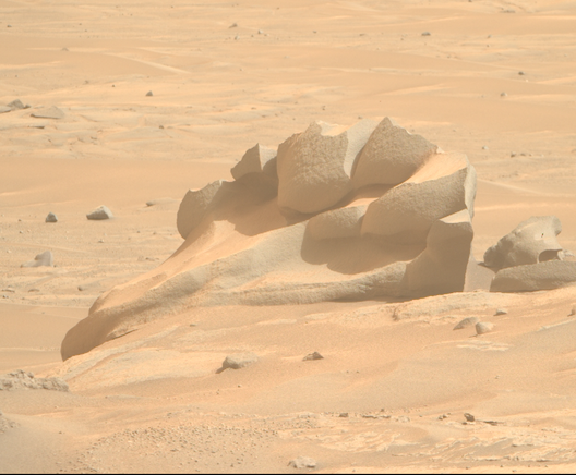 Snap of the linked photo, a floating rock or outcrop with ventifacts resembling a bird's head