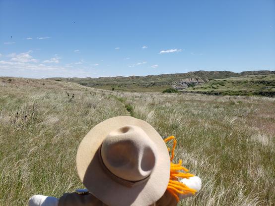 Ranger Sarah has climbed out of a deep ravine and continues hiking towards Sulphur Springs. 