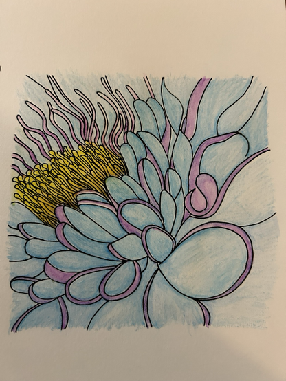 Water coloured flower with blue petals and purple edges, yellow stamens and pink tendrils 