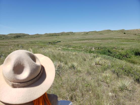 Ranger Sarah hikes up to the location of Sulphur Springs.