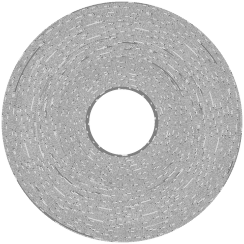 flux visualization of "MultiScribe" disk
