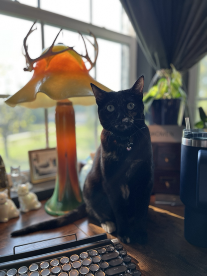 A tortoiseshell cat sits on a desk in front of a window. An orange mushroom lamp and vintage decor are behind her
