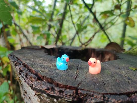 Two tiny plastic ducks rest on a tree stump. Just chilling like they do.