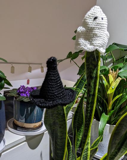 Ghost and witch's hat resting on the leaves of a snake plant